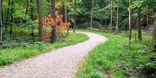 \u201cAdopt a Croc\u201d for Parks  2026