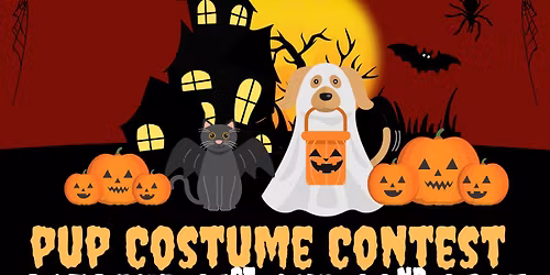 Halloween Photos!
