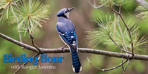 Birding Hour with Ranger Jasmine