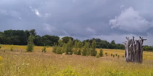 An Introduction to Langley Vale Wood - guided walk