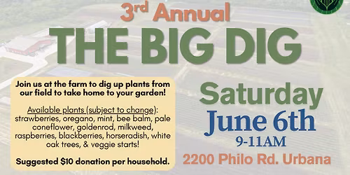 The Big Dig