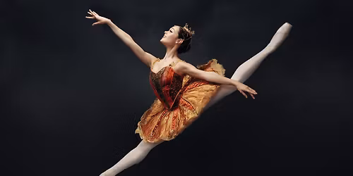 Casse-Noisette - Les Grands Ballets Canadiens