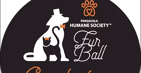 Fur Ball