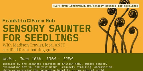 Sensory Saunter for Seedlings