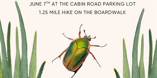 America 250 Bioblitz on National June Bug Day