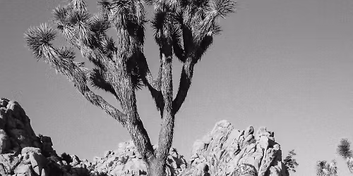 Spencer Crandall in Berlin