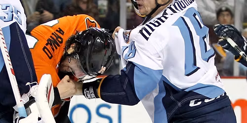 South Carolina Stingrays vs. Toledo Walleye