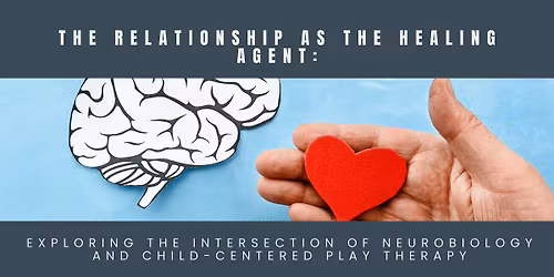 Exploring the Intersection of Neurobiology and Child-Centered Play Therapy