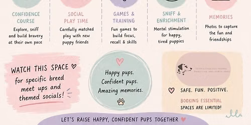 Puppy Playground Social