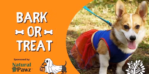 Bark-or-Treat @ Rob Fleming Dog Park