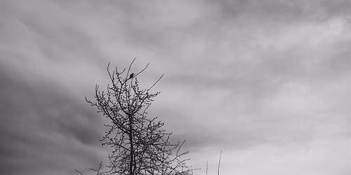 Photowalk | Magnuson Park