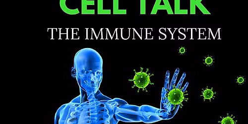 Discover  Redox - Cellular Wellness Experience