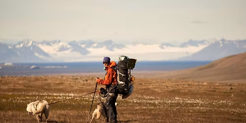 7 h\u00e9t, 2 ember, 4 kutya