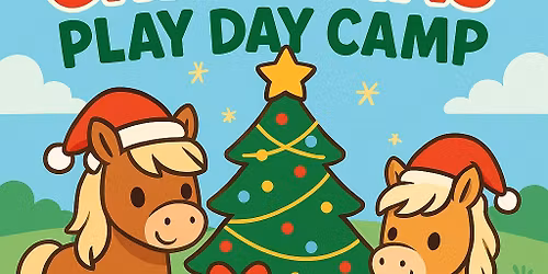 Christmas Play Day Camp