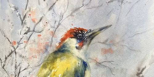 Watercolour Painting Workshop- Woodpecker