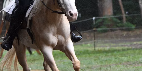 CHILLIWACK Intro to Horse Archery Clinic (Indoor)