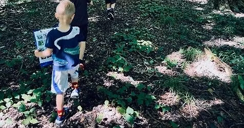 Family-Friendly Tree Tours