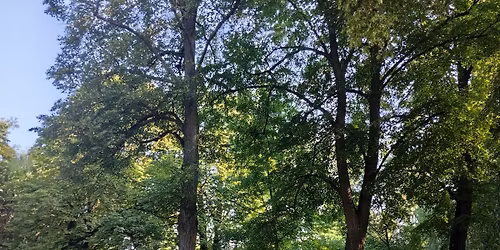 14 Maraton Parku Wschodniego