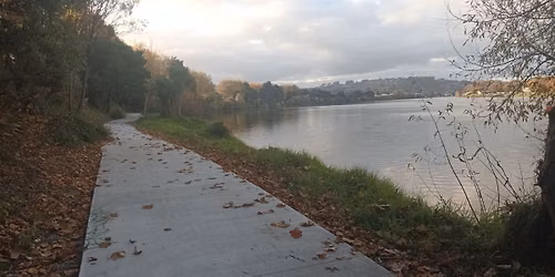 (E) Round the Bridges & Wetlands Loop (Local Walk with Shorter & Longer Options)