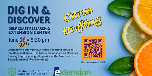 Dig In & Discover: Citrus Grafting on June 30