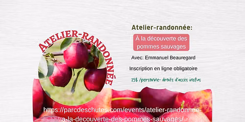 Atelier-randonn\u00e9e : \u00c0 la d\u00e9couverte des pommes sauvages
