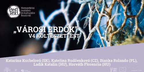 \u201eV\u00c1ROSI ERD\u0150K\u201d- V4 K\u00d6LT\u00c9SZETI EST