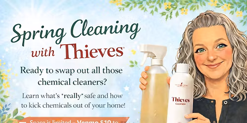 Spring Cleaning with Thieves