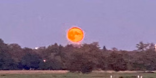 KR\u00c4UTERWANDERUNG BEI VOLLMOND