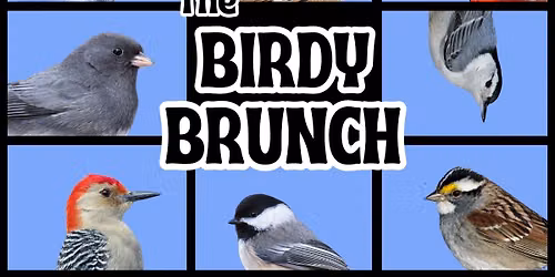 Birdy Brunch