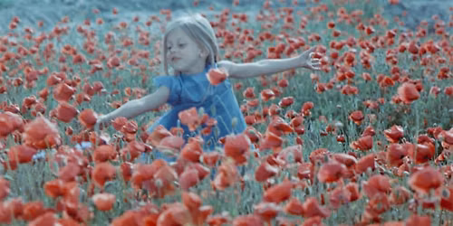 COLOURFUL DREAMS (1974) \u2014 US Premiere of Gorgeous New Restoration!