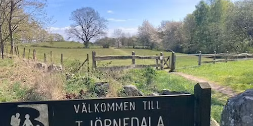 Drömhelg på Österlen