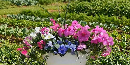 Patio Planter Class at the Chatham Bars Inn Farm