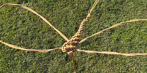Dragonfly Workshop
