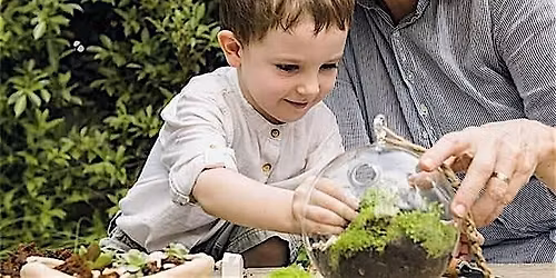 Half Term Family Friendly Fun-Make A Terrarium