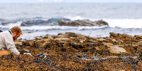 Evening Rockpooling (Adults only)