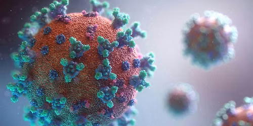 Infections and the Gut: From Common Problems to Rare Challenges