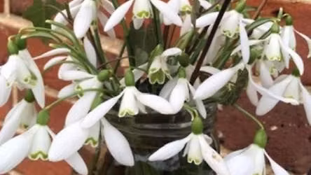 Saxon Bowls Club Open Day 