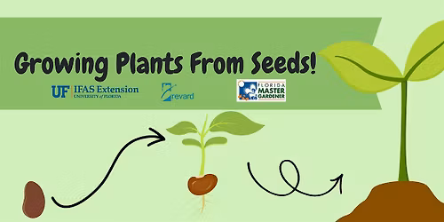 Growing Plants From Seeds!