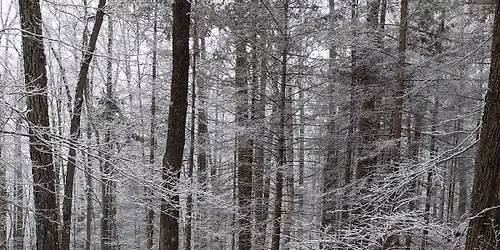 Winter Solstice Sunrise at Lewis Hollow