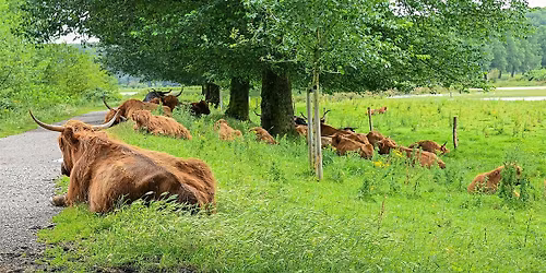 Runderwandeling - zaterdag 12 sept. 13.30 uur in  Broekpolder Vlaardingen