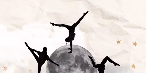 Whimsical Worlds - D'faces 2025 Showcase