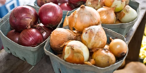 Harvest Festival: Farm to Table