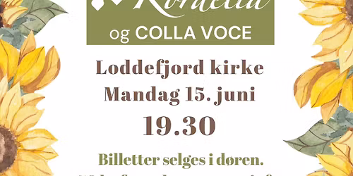 Sommerkonsert