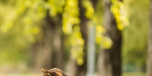 The Four Elements of Connection