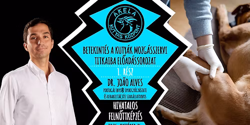 DR. JO\u00c3O ALVES PORTUG\u00c1L EBVS\u00ae REHABILIT\u00c1C. \u00c1LLATORVOS - BETEKINT\u00c9S A KUTY\u00c1K MOZG\u00c1SSZERVI TITKAIBA 1.