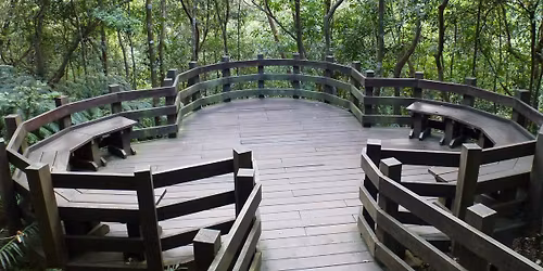 \u96d9\u7345\u7e31\u8d70