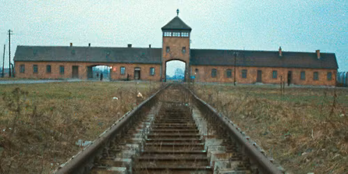 Visning av Shoah p\u00e5 F\u00f6rintelsens minnesdag