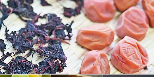Umeboshi Workshop Series (3-Part Experience)