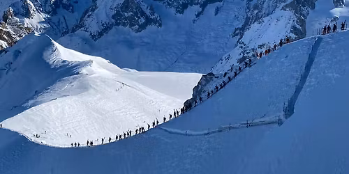 Diamond Dogs Happy Hour