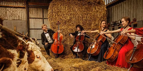WHERE MUSIC GROWS \/ ET KLASSISK LIV - documentary in Gloria